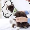 Pet Recovery Collar for Cats view 2