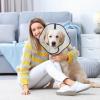 Pet Recovery Collar for Cats view 3