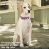 haoyueer Durable Adjustable Nylon Martingale Dog Collar, L 45–53 cm view 2
