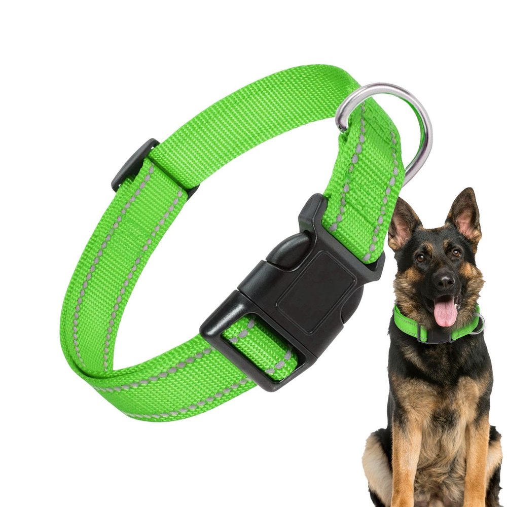 Adjustable Nylon Dog Collar
