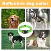 Adjustable Nylon Dog Collar view 4