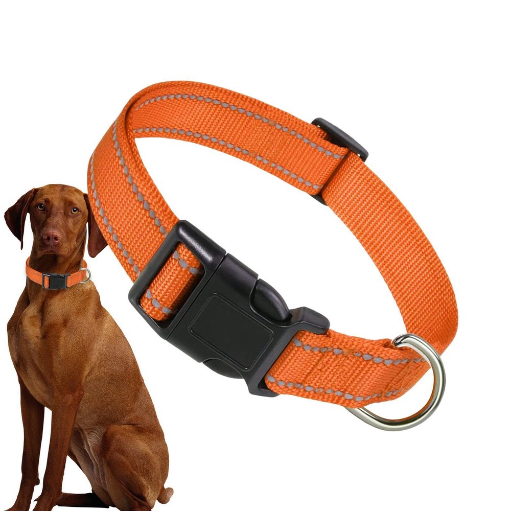 Reflective Dog Collar