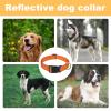 Reflective Dog Collar view 4