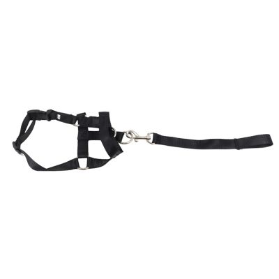 Dog Collar, Breathable Polyester Muzzle Strap, Adjustable Size, for Walks and Training (XL)