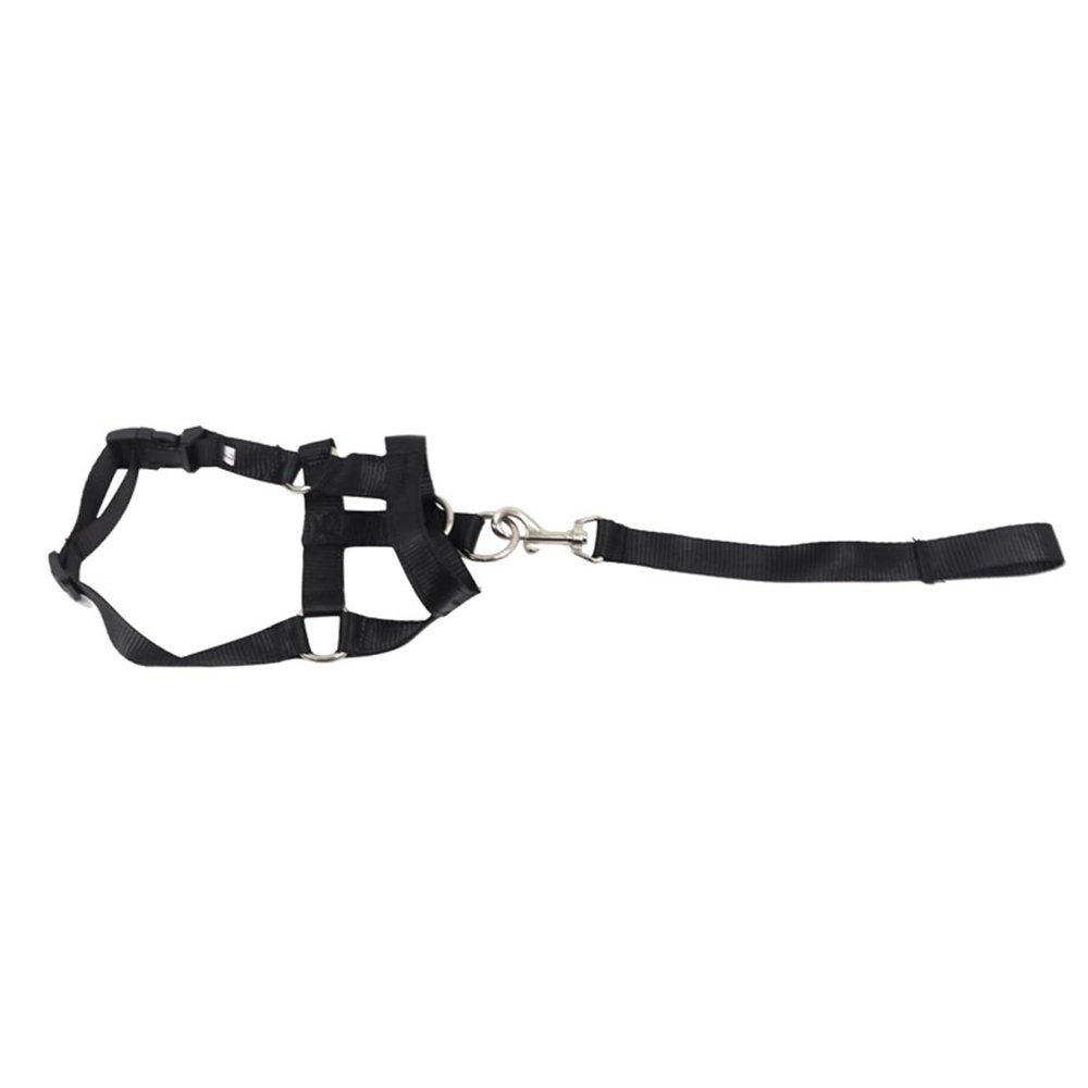 Dog Collar, Breathable Polyester Muzzle Strap, Adjustable Size, for Walks and Training (XL)