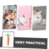 Kisangel 3-Piece Rabbit Chew and Toy Set view 3