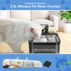 12 Pack Cat Fountain Filters view 2
