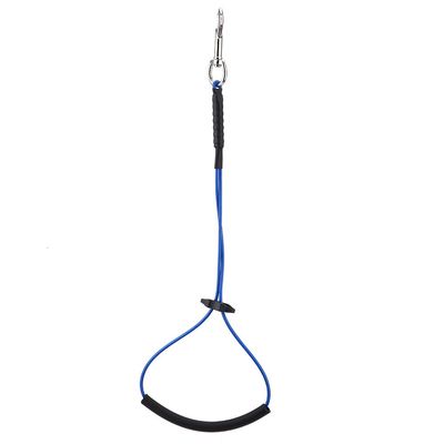 Aramox Single Stainless Steel Pet Grooming Loop Wire for Table Bathtub