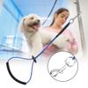 Aramox Single Stainless Steel Pet Grooming Loop Wire for Table Bathtub view 2