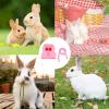 Rabbit Harness and Leash, Breathable Mesh Rabbit Harness view 4
