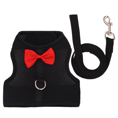 Rabbit Harness and Leash Set