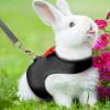 Rabbit Harness and Leash Set view 2