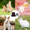 Rabbit Harness and Leash Set view 4