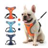 Breathable Mesh Dog Harness for Small, Medium, and Large Dogs, Chest Vest (Color: Sky Blue, Size: XL) view 2