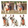 Breathable Mesh Dog Harness for Small, Medium, and Large Dogs, Chest Vest (Color: Sky Blue, Size: XL) view 3