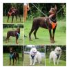 Breathable Mesh Dog Harness for Small, Medium, and Large Dogs, Chest Vest (Color: Sky Blue, Size: XL) view 4