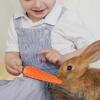 Carrot Toy for Dogs view 3