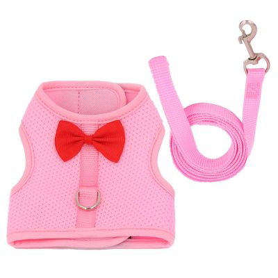 Bvizyelck Guinea Harness and Leash Set