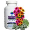 Echinacea ImmunFit Adaptogen 540 Capsules (3 x 180) – Pure Powder view 2