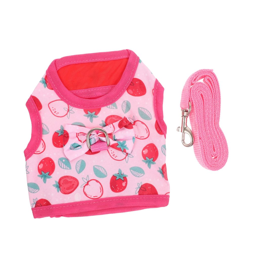ORFOFE Rabbit Leash