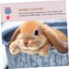 VILLFUL Rabbit Clothing with Leash, Lightweight and Durable Outdoor Apparel view 4