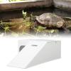 Tyenaza Turtle Climbing Platform view 3
