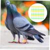 ORFOFE High Pigeon Leg Bands - 300 Pieces view 2