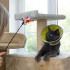 Adjustable Cat Collar view 4