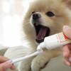 Mllepjdh Dog Toothbrush for Pets view 2