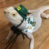 Adjustable Bearded Dragon Costume with Cape view 4