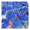 ZDVHOMCB Home Collections Electroplated Blue Aura Quartz Crystal Cluster with Rainbow Light view 4
