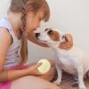Bouncing Dog Ball for Aggressive Chewers view 3