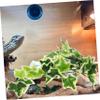 Milisten Artificial Hanging Plant with Suction Cups view 3