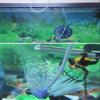 NACX Aquarium Air Hose, 4 mm ID, 6 mm OD, 6 m, Clear view 4
