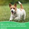 HylMed HA caps dog, 17-in-1 Nutrient Complex for Joint Support view 3
