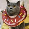 Lightweight Plush Donut Collar for Cats and Dogs view 3