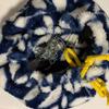 Windproof Plush Hammock for Small Pets view 2