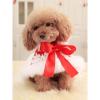 Soft Winter Puppy Cape Costume for Dogs and Pets view 4