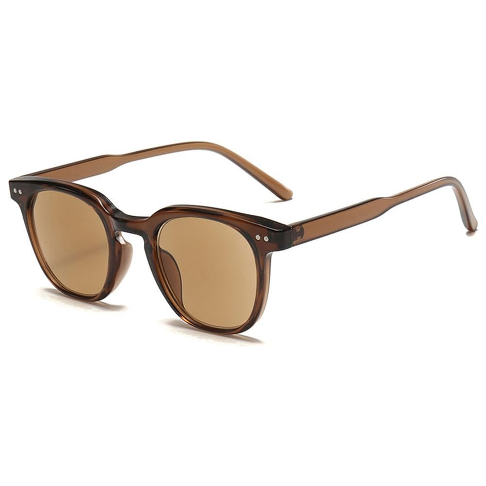 VEVESMUNDO Tinted Reading Sunglasses for Women and Men, Plastic Readers, +1.0 to +4.0, Transparent Brown Frame with Brown Lenses, +4.0, 1 Count
