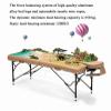 CAFIEDR Professional Portable Folding Aluminum Massage Table with Carrying Bag view 3