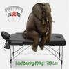 CAFIEDR Adjustable Massage Table with Carrying Case, 3-Section, 70 cm Wide Aluminum Spa Treatment and Waxing Table view 4