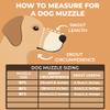 Biothane Muzzle for Dogs | Training & Behavior | Durable, Waterproof Design | Handmade (Black, BF0) view 2