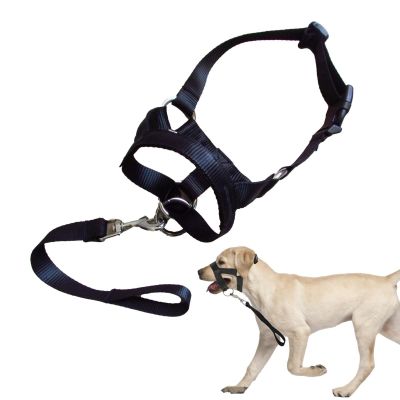 Dog Muzzle | Adjustable Pet Muzzle for Training