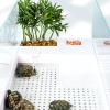 Turtle Tank with Drainage, Ultra-White Glass view 4