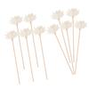 Diffuser Sticks, 10 Pieces, Beige, Rattan and Tetrapanax view 1