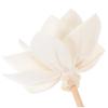 Diffuser Sticks, 10 Pieces, Beige, Rattan and Tetrapanax view 3