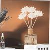 Diffuser Sticks, 10 Pieces, Beige, Rattan and Tetrapanax view 4