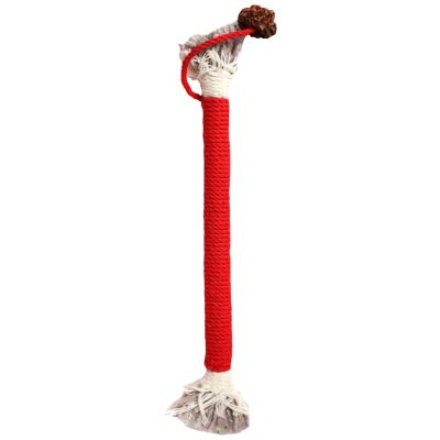 Silvervine Cat Toy, Natural Chew Toy for Dental Care, Catnip Blend