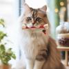 Silvervine Cat Toy, Natural Chew Toy for Dental Care, Catnip Blend view 2