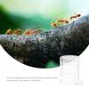 Kisangel Ant Water Feeder view 2
